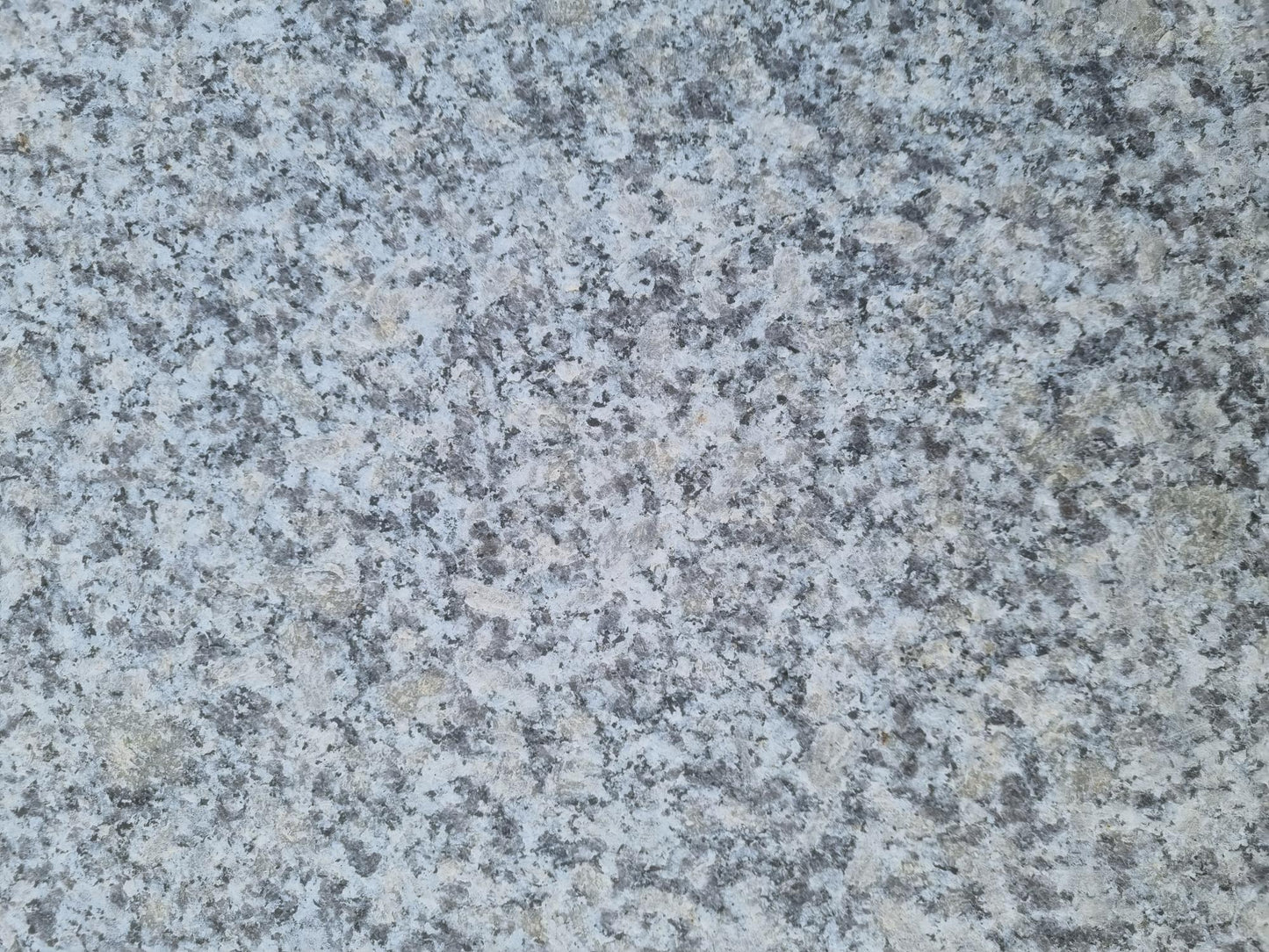 Silver Grey G602 Granite Outdoor Paving Slabs Flamed 900mm