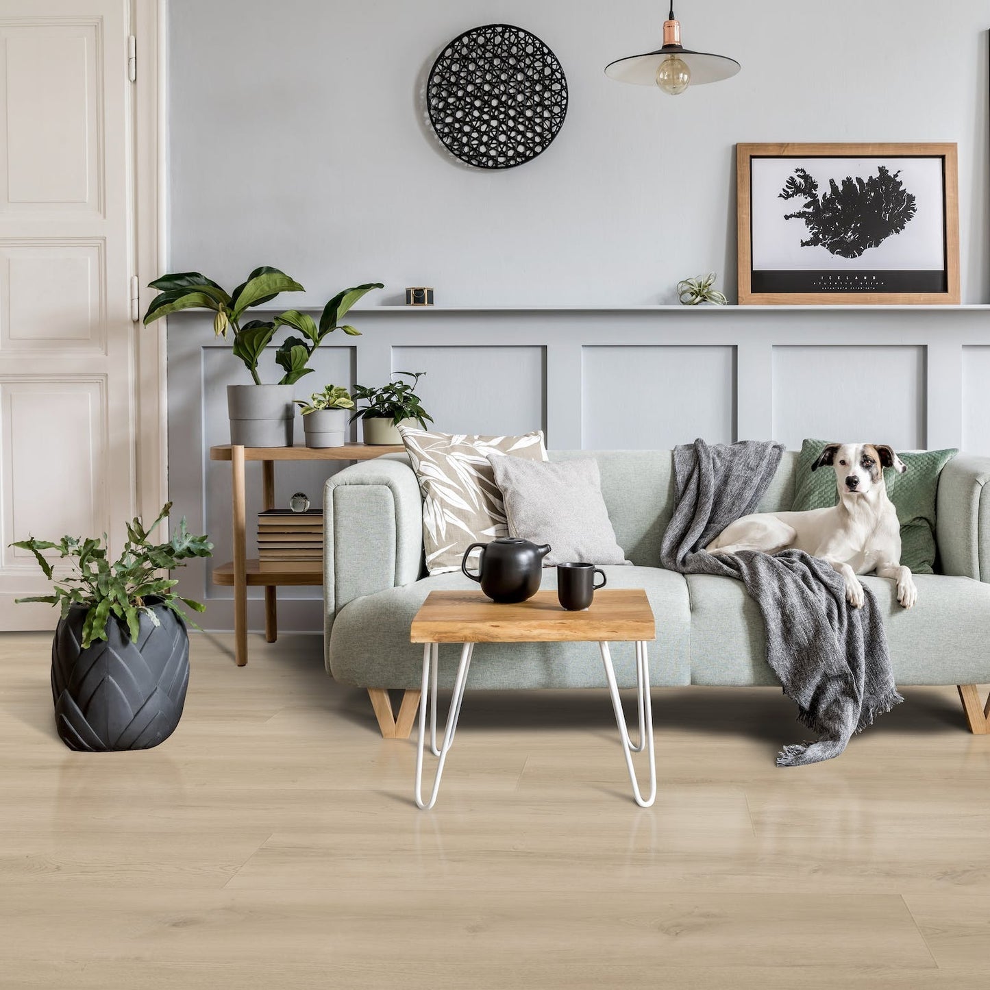 Laminate Flooring Samples
