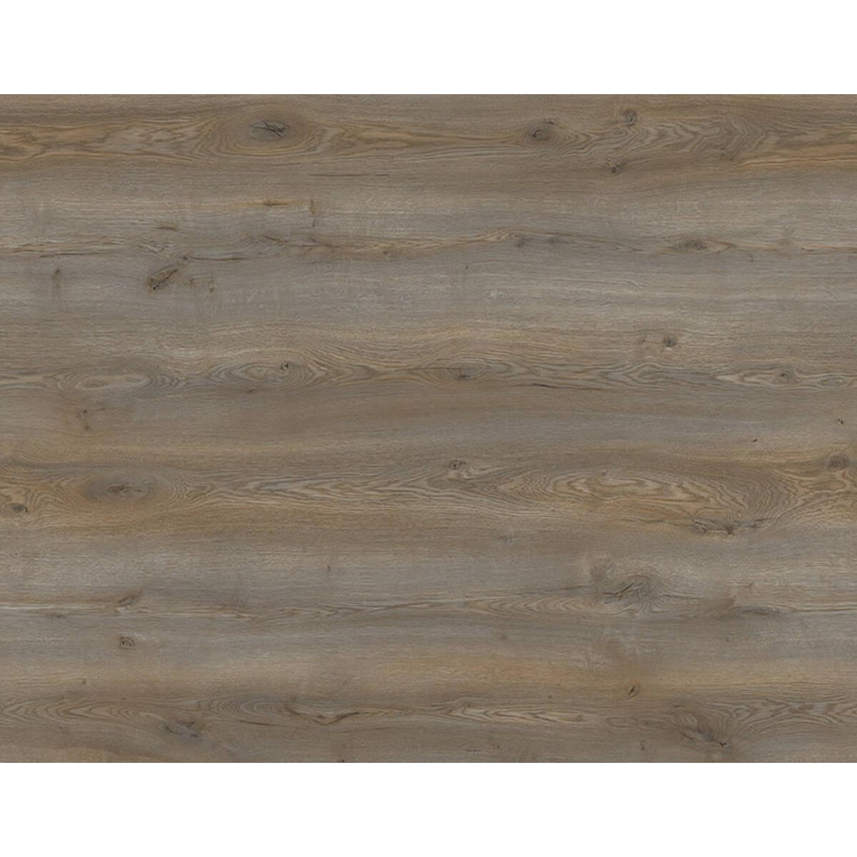 10mm Mammut Plus MOUNTAIN OAK TITANIUM