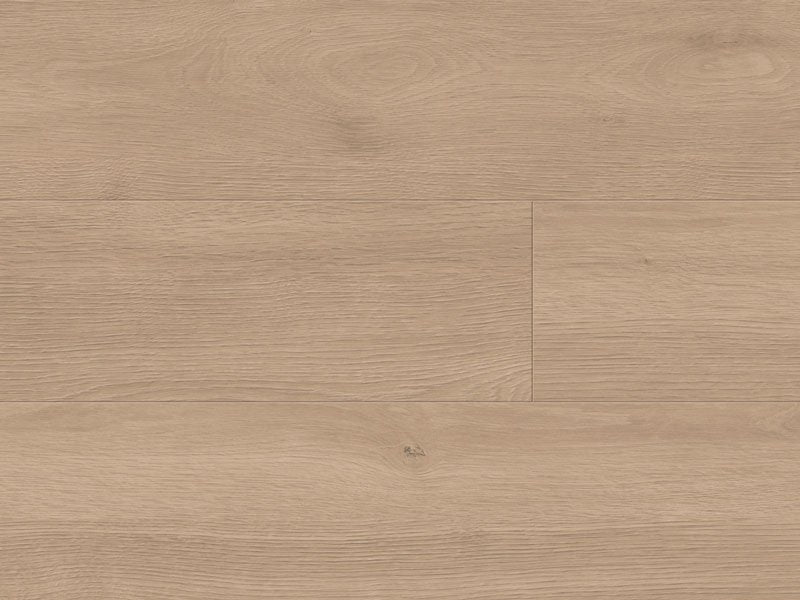 12mm Robusto Elba Oak Gold laminate flooring