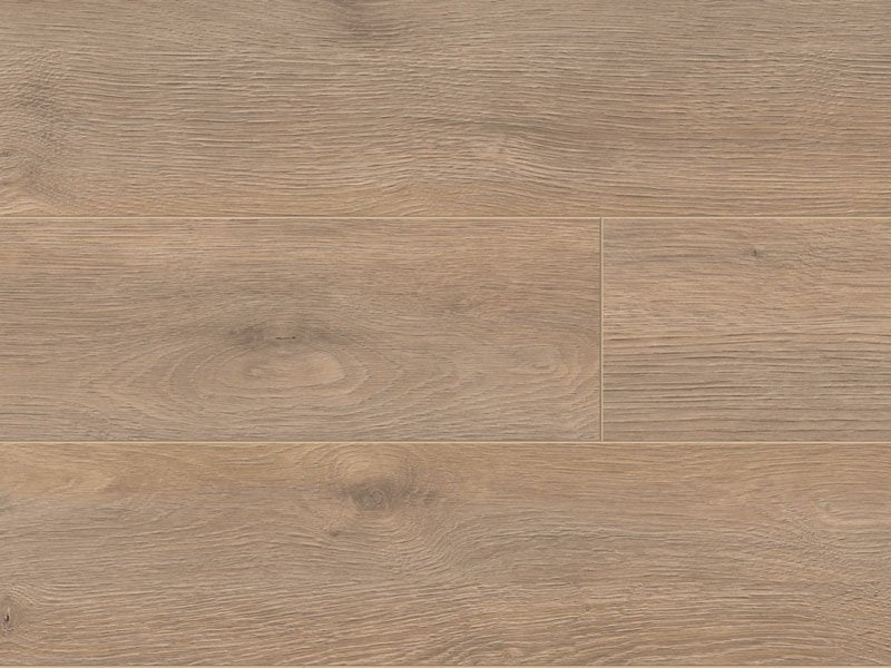 12mm Robusto Elba Oak Beige laminate flooring