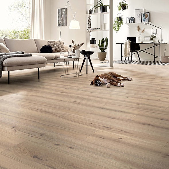 Robusto Plank Arizona Oak Beige laminate flooring - main image
