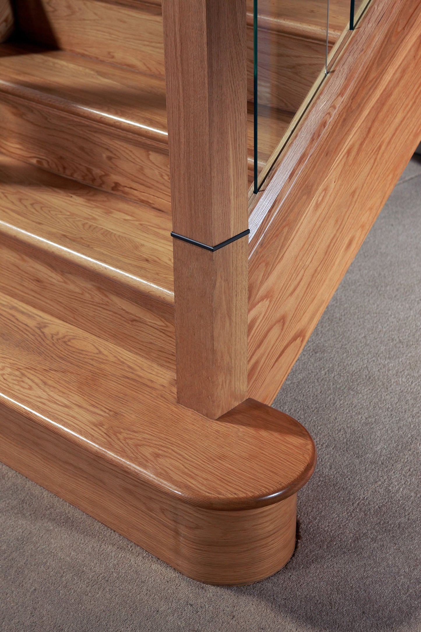 Cladding stairs bullnose step - modern staircase example