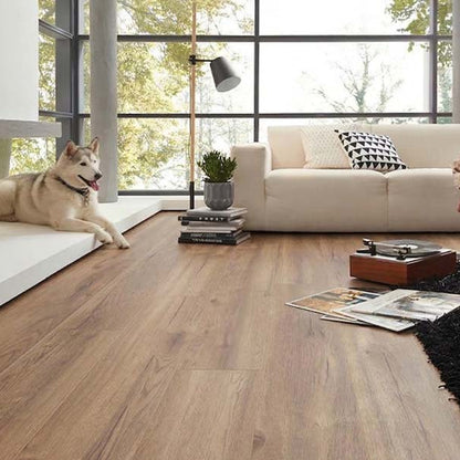12MM ROBUSTO 4V AC5 NORFOLK OAK BRONZE LAMINATE FLOORING
