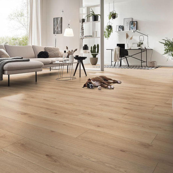 12MM ROBUSTO 4V AC5 TUSCANY OAK NATURE LAMINATE FLOORING